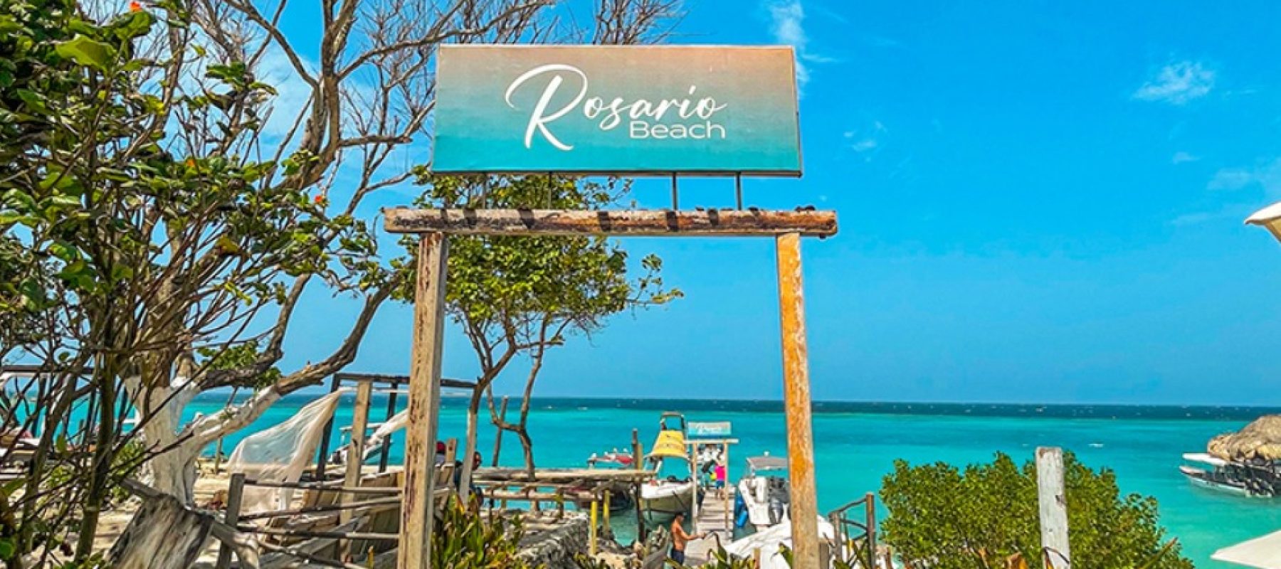 Imagen de WhatsApp 2025-05-26 a las 11.42.57_5008f416