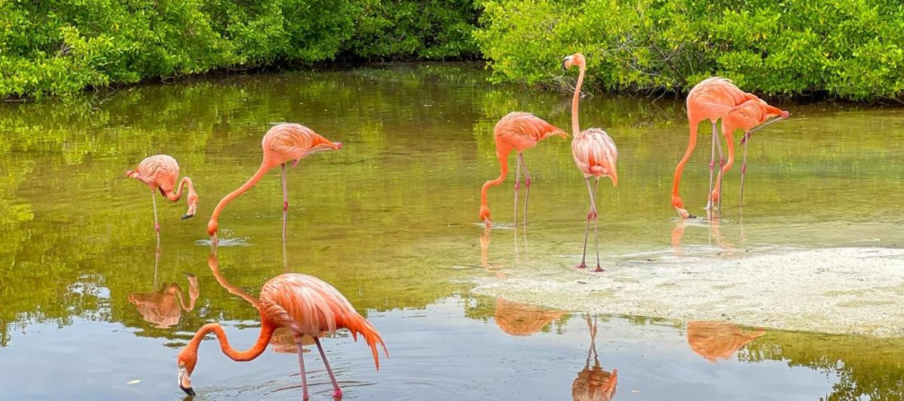 Imagen de WhatsApp 2025-05-26 a las 11.49.48_3c8e6356