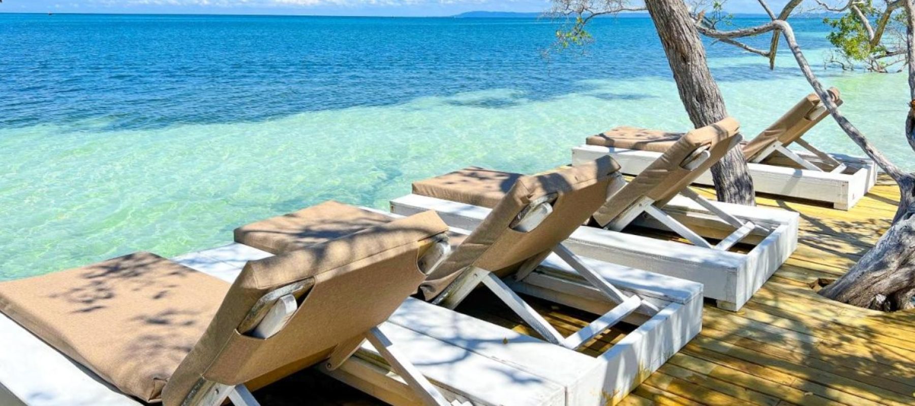 Imagen de WhatsApp 2025-05-26 a las 11.49.48_b8c4d4f1