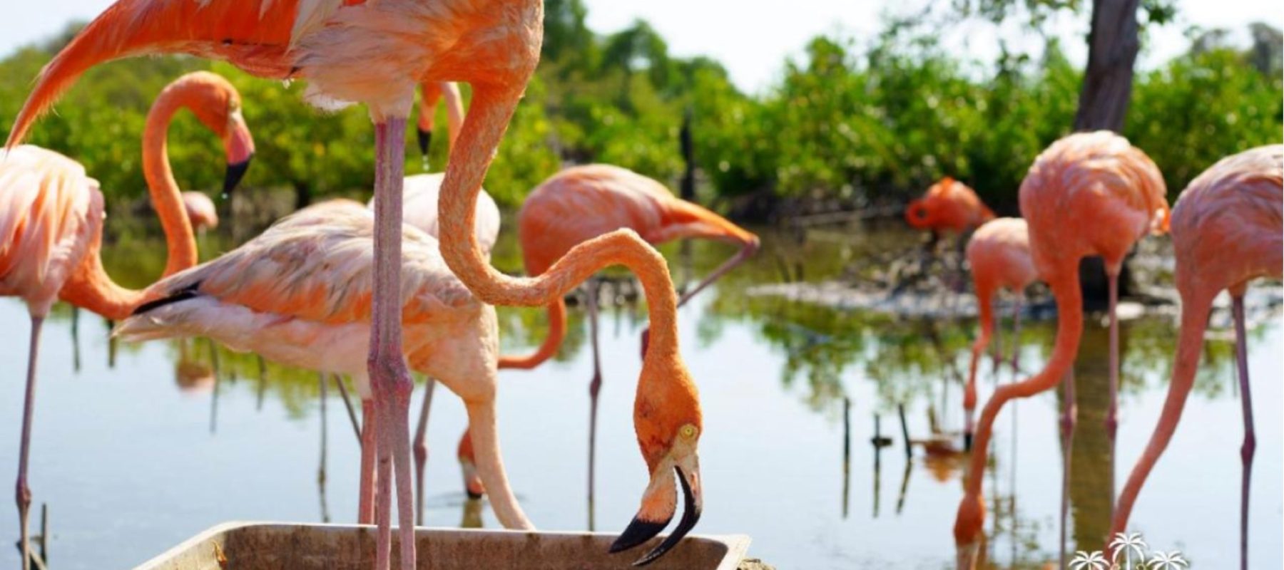 Imagen de WhatsApp 2025-05-26 a las 11.49.48_e6eec49d