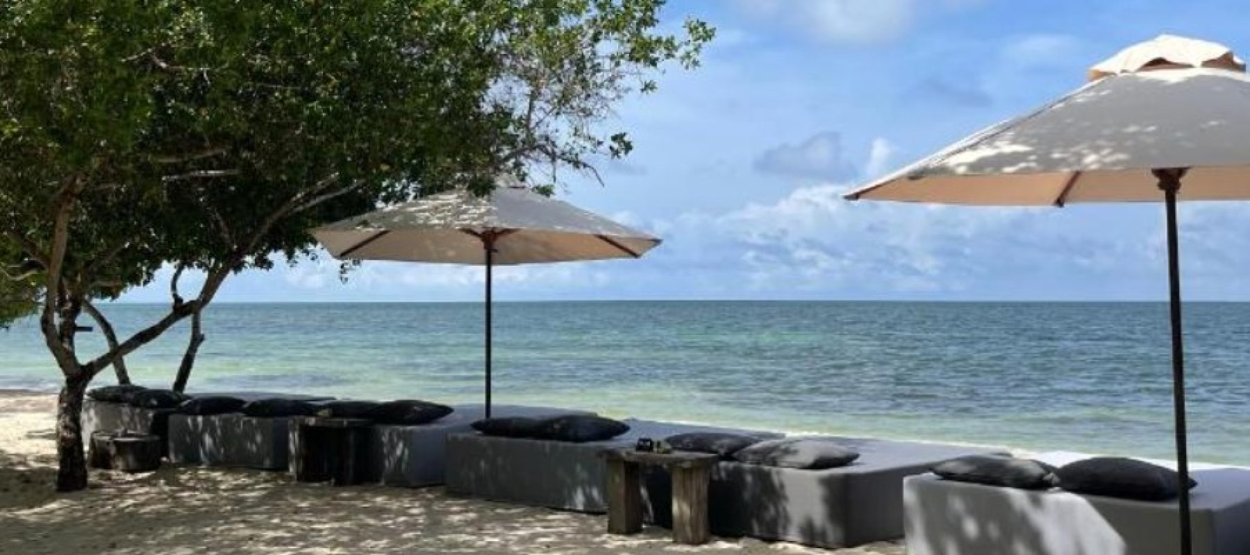 Imagen de WhatsApp 2025-05-26 a las 15.49.54_96f1aeda