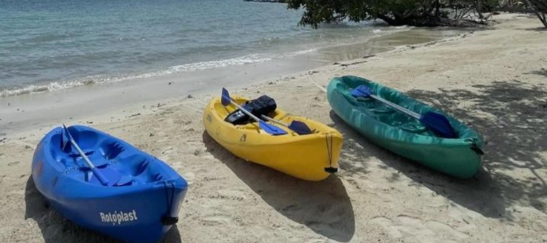 Imagen de WhatsApp 2025-05-26 a las 15.49.54_a4f19761