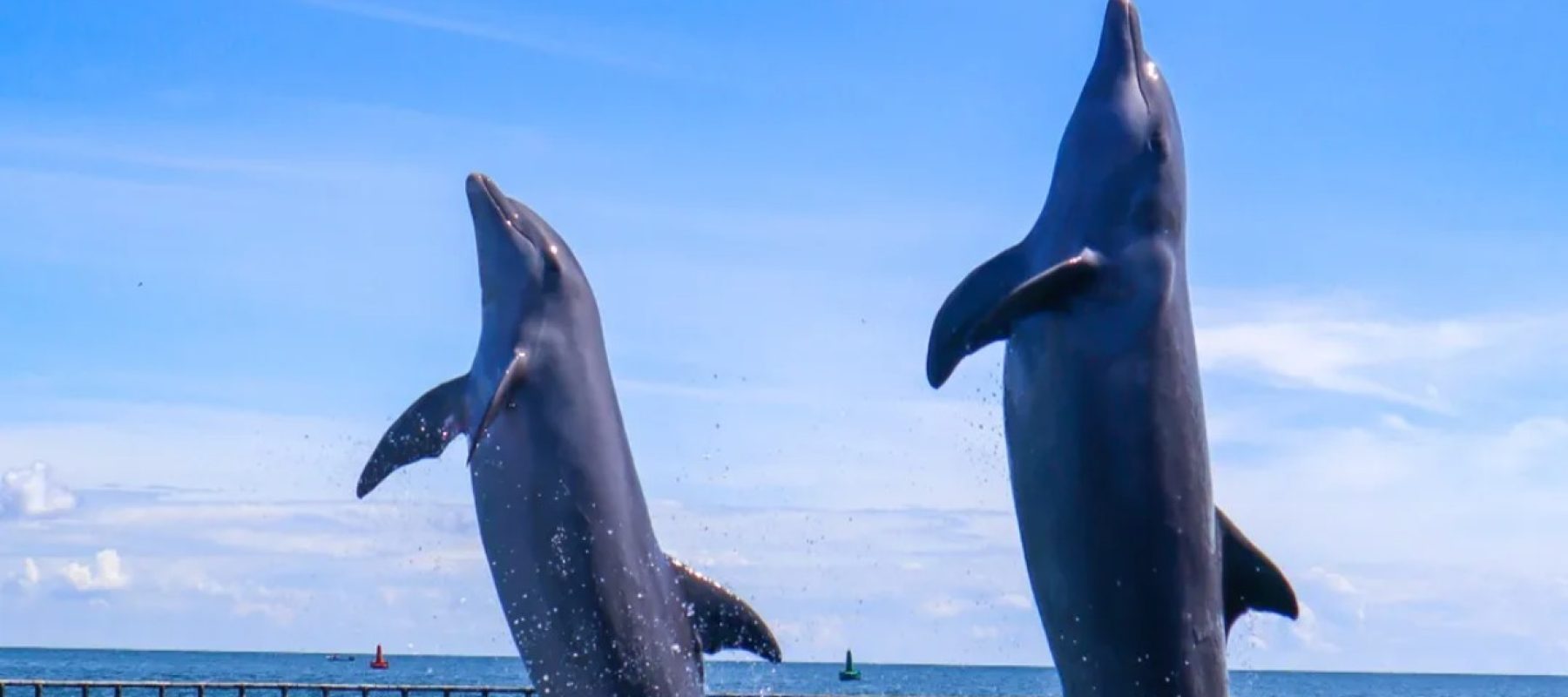 Imagen de WhatsApp 2025-05-26 a las 16.10.27_0ebcd827