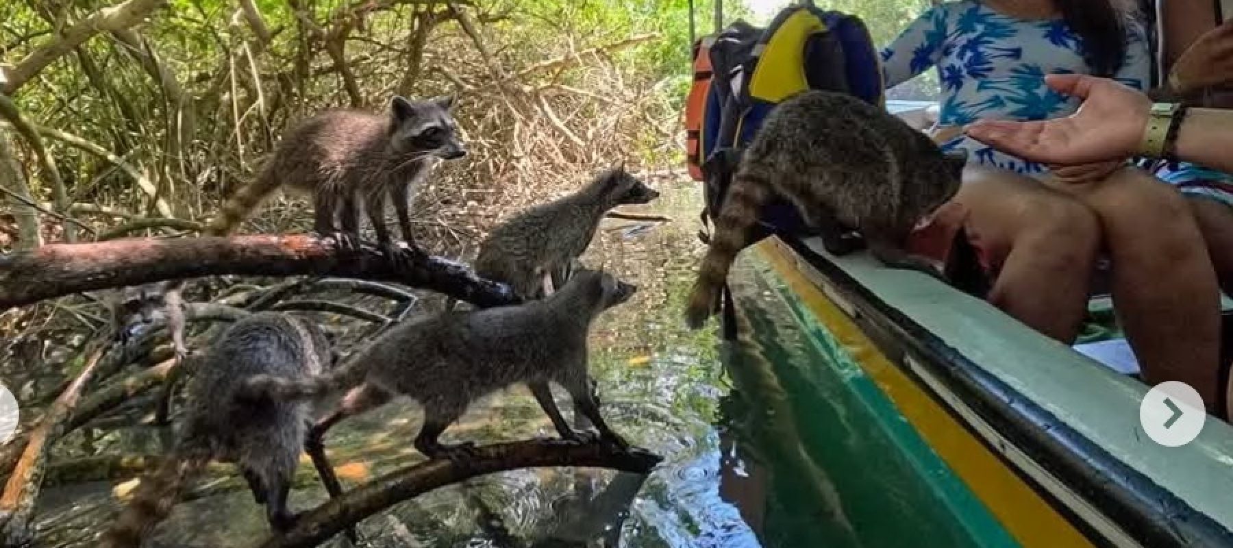 Imagen de WhatsApp 2025-05-26 a las 16.23.24_0486b6f4