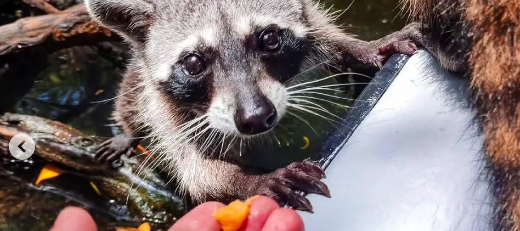 Imagen de WhatsApp 2025-05-26 a las 16.23.25_d88ebda3