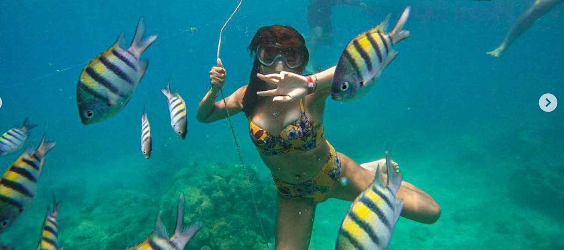 Imagen de WhatsApp 2025-05-26 a las 16.28.36_fa4ff477