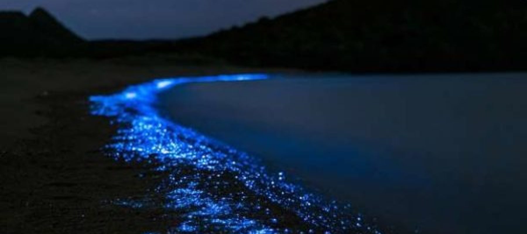 Imagen de WhatsApp 2025-05-26 a las 16.34.42_60786846