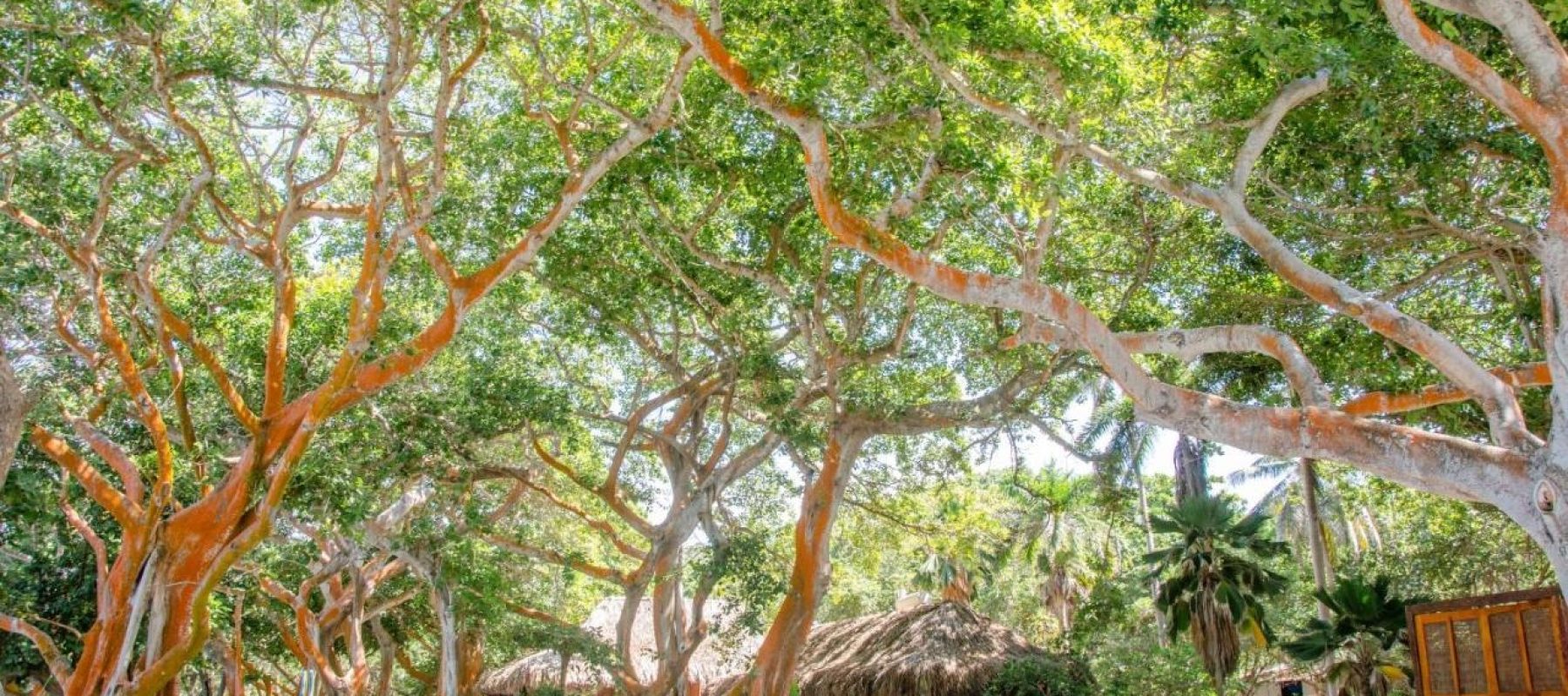 Imagen de WhatsApp 2025-05-26 a las 18.47.23_0672b7da