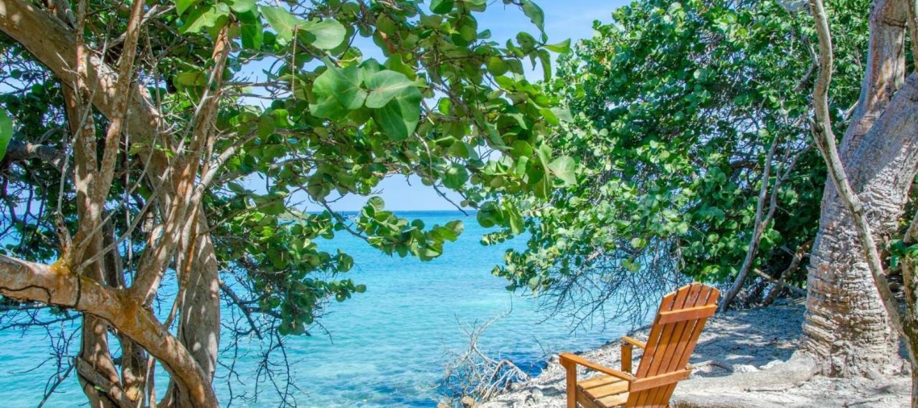 Imagen de WhatsApp 2025-05-26 a las 18.47.23_3a41d1f4