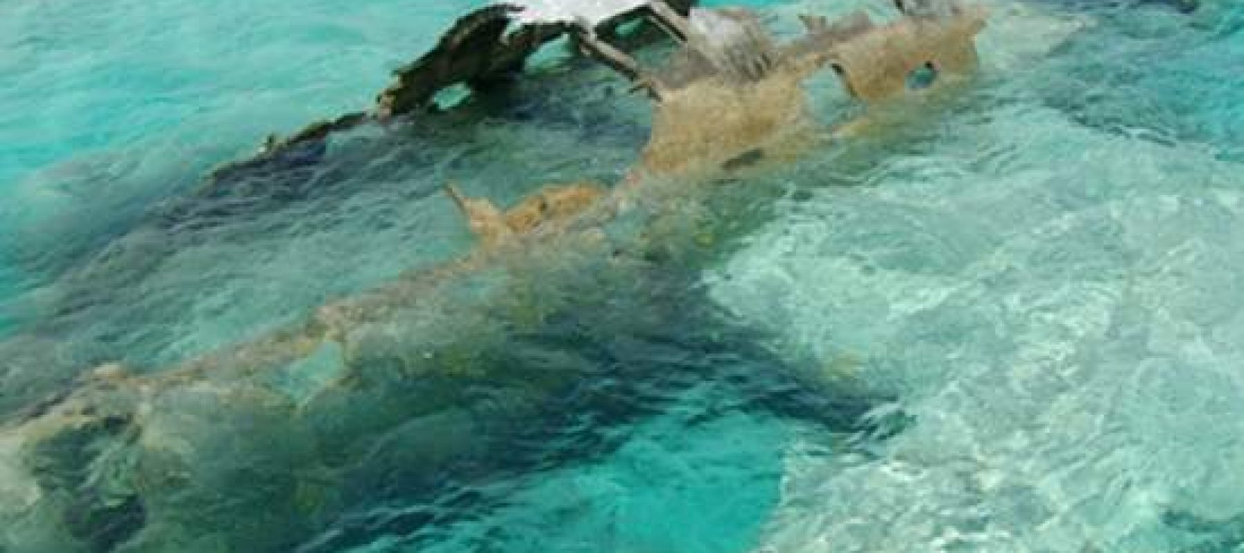 avion-cayo-staniel_cf10d4a4_550x807